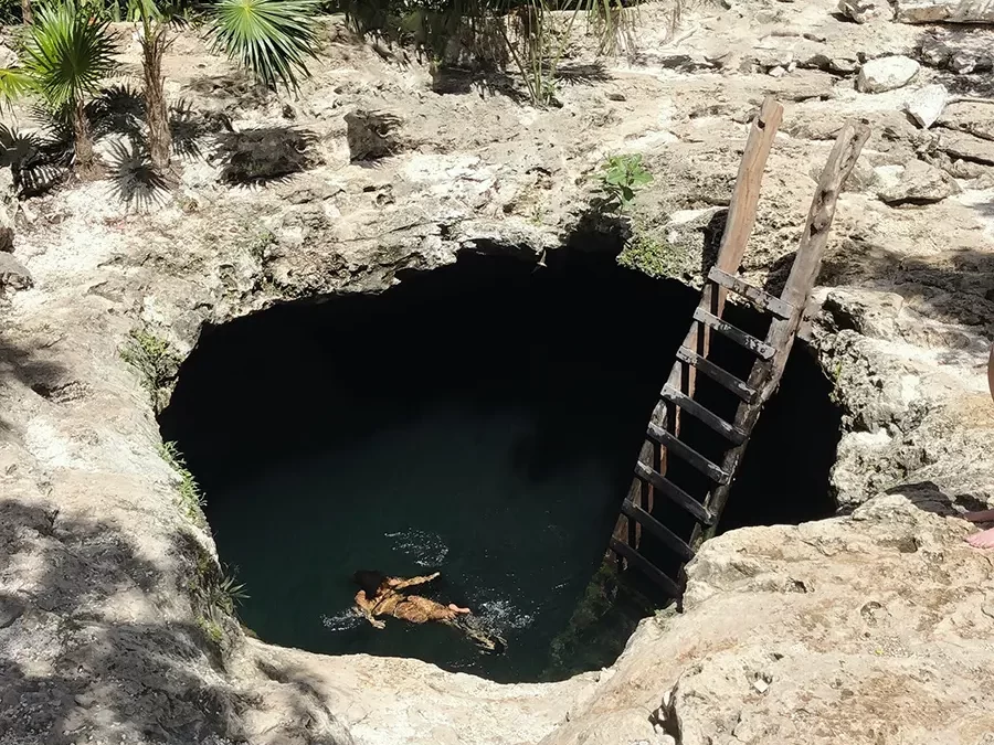 Cenotes del Caribe Mexicano